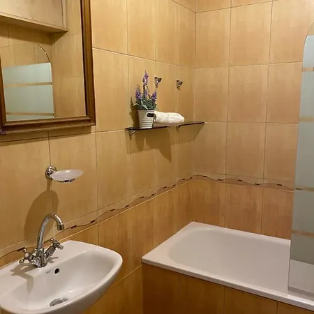 Apartament Z Widokiem Na Zamek - With A View Of The Castle